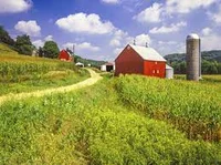 Farm life