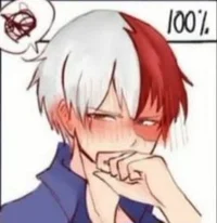 Shoto Todoroki