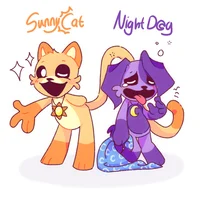 Sunny cat  night dog