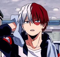Whats Todoroki