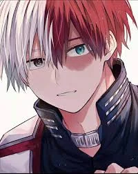 Todoroki Shoto