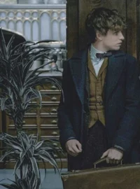 Newt Scamander