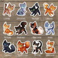 Warrior cat denmates