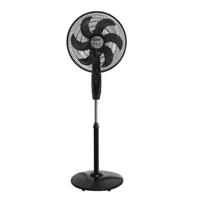 Fan man