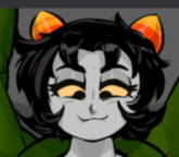 Nepeta Leijon