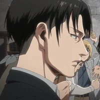 levi ackerman 