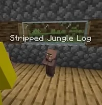 Stripped Jungle Log