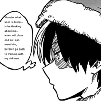 Shoto Todoroki