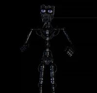 Endoskeleton