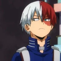 Shoto Todoroki
