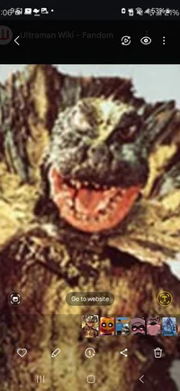 The woman in the sui