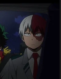 Shoto Todoroki