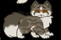 Shellpaw