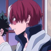Shoto Todoroki