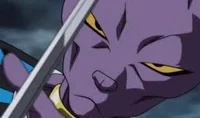 Lord Beerus 