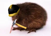 Kiwi Builder