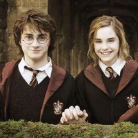 Hermione and Harry