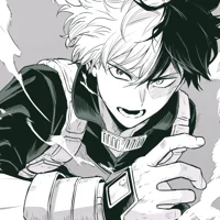 1BNHA Todoroki