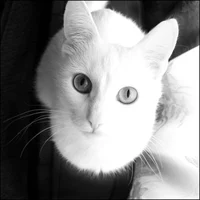 the most awesome guy