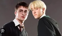 Draco x harry x you