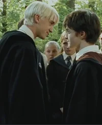 Draco x Harry x you 