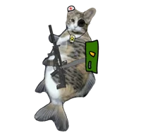 gunner fishy cat