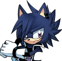 Risk the Hedgehog
