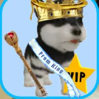 VIP king husky