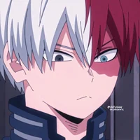 Shoto Todoroki 