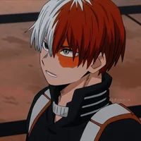 Shoto Todoroki