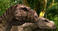 Tarascosaurus Pair