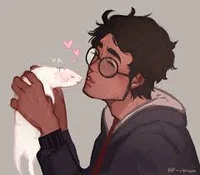 Harry Potter- gay