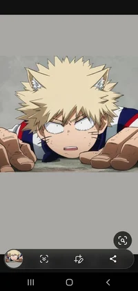 Husband bakugo