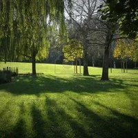 UnexpectedClassReuni