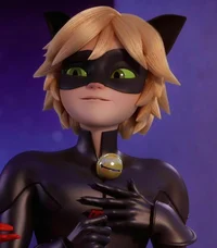 Cat Noir