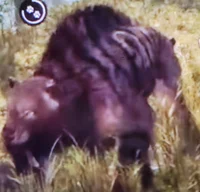 Bloodfang sabertooth