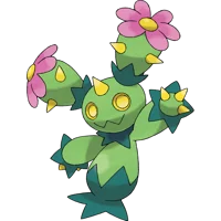 Maractus