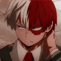 Shoto Todoroki 