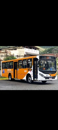 Adryan 3031