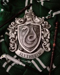 Slytherin boys 