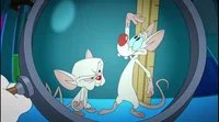 Pinky and brain