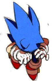 Shub the sonic house