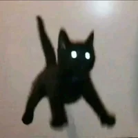 Ночной котейка
