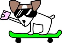 Jack Russell Terrier