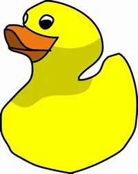A Duck