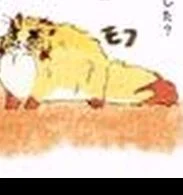 Senjuro cat