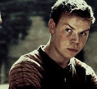 Gally - TMR