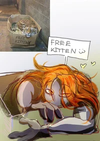Free kitten