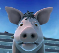 Pig Newton 