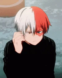 Shoto Todoroki 
